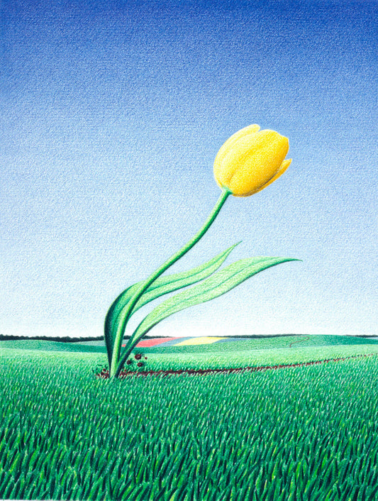 Rene Boin, Fast Tulip, 1990 -  by  Bridgeman Editions