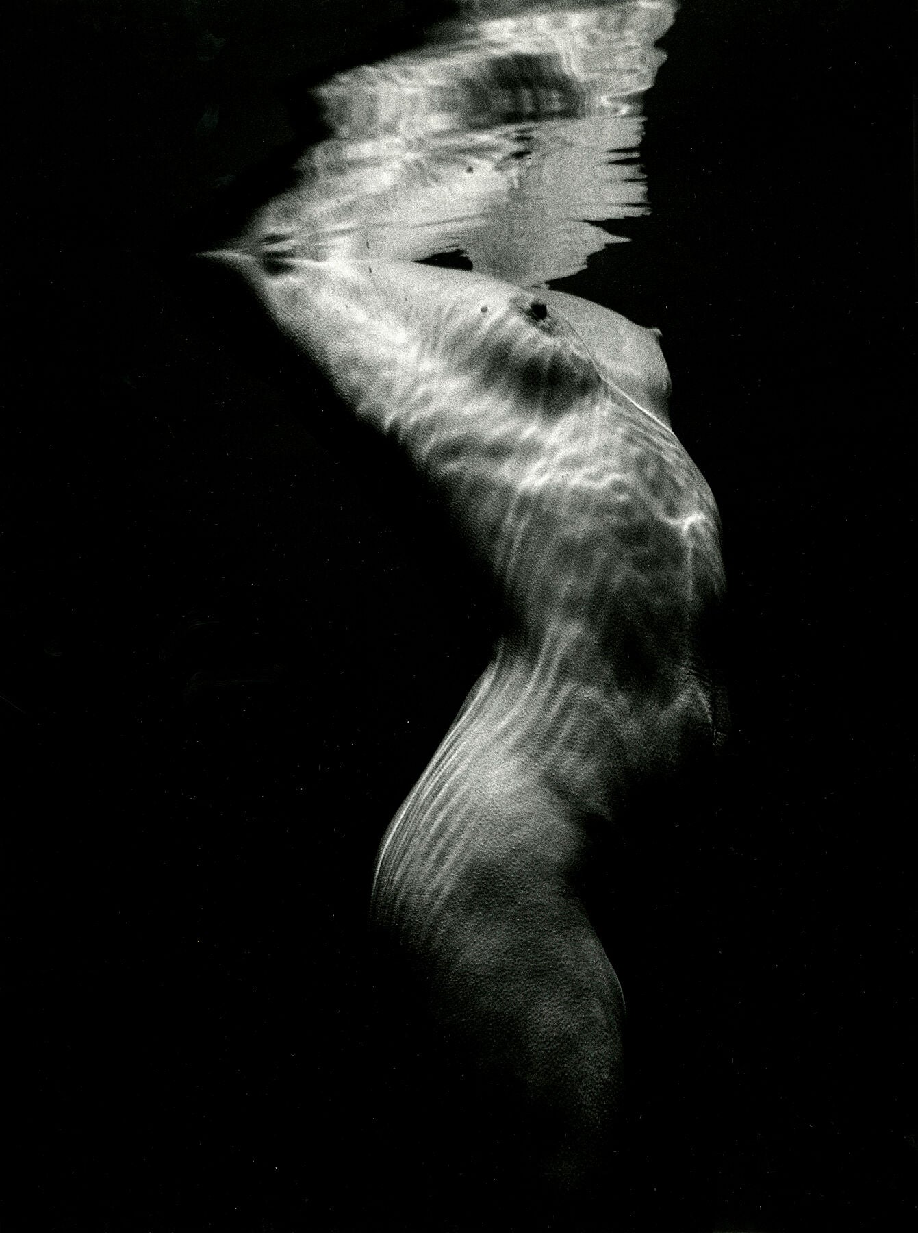 Underwater Nude, 1980 -  by  Bridgeman Editions