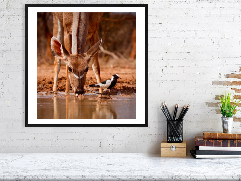 Pied Things, 2019 - by Bridgeman Editions