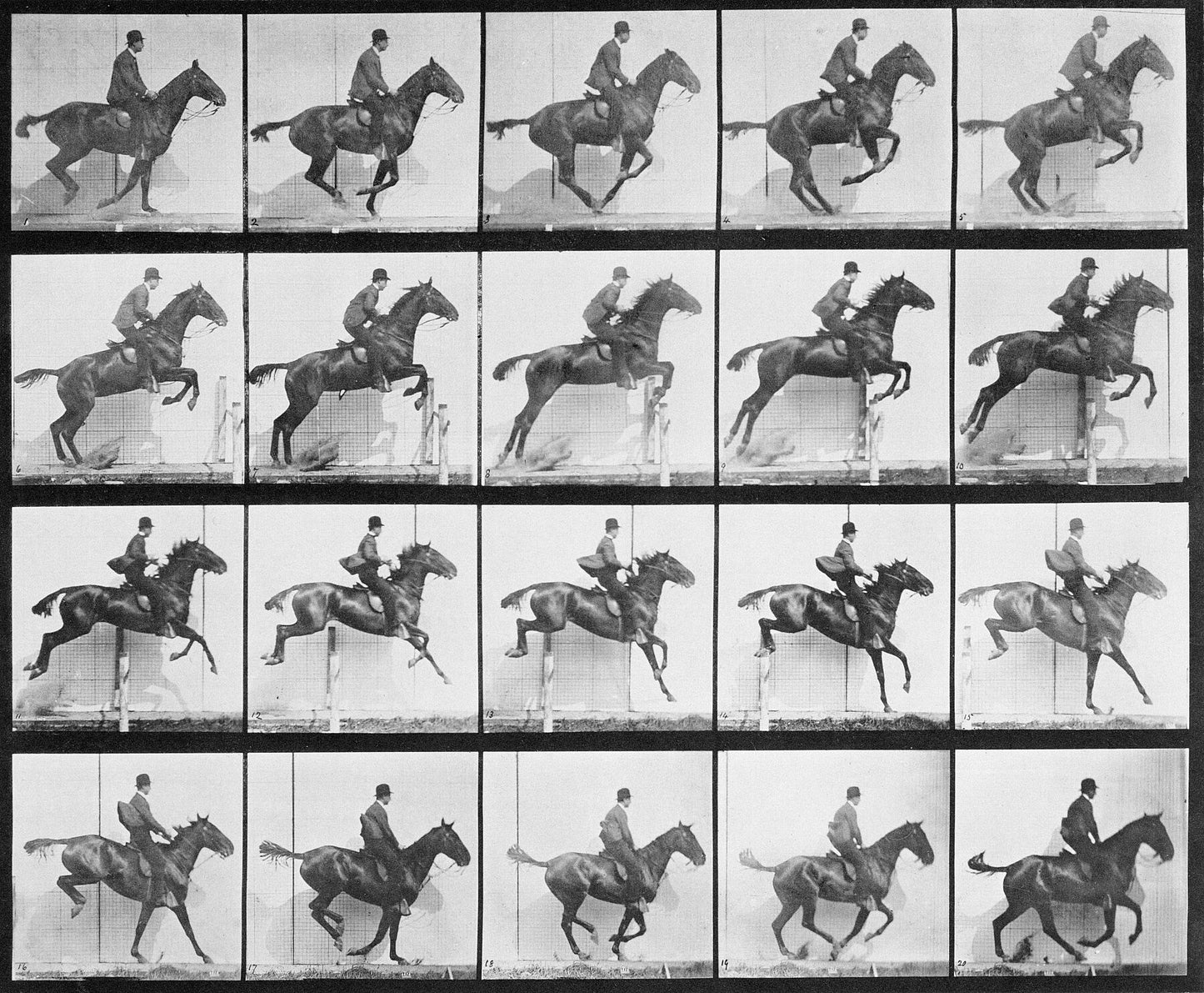 Man and horse jumping a fence plate 640 from Animal Locomotion, 1887 - by Bridgeman Editions