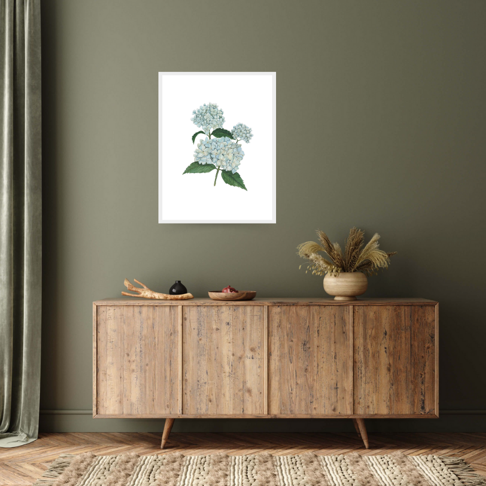 Hydrangea Light Blue, 2022