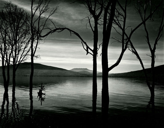 An unframed black and white print titled ‘Lake Patzcuaro Mexico’ by Brett Weston: Discover tranquillity with this serene view of Lake Patzcuaro in Mexico, framed by trees and mountains.