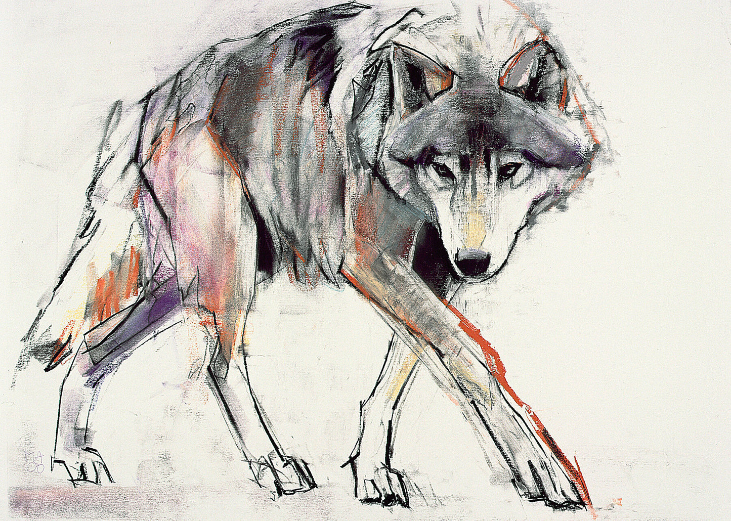 Wolf - by Bridgeman Editions