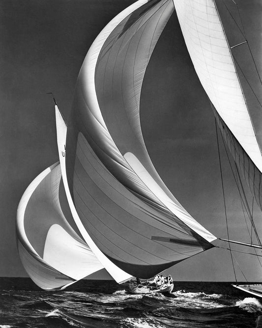 Two sailboats racing with their spinakers on a reach 1940s -  by  Bridgeman Editions