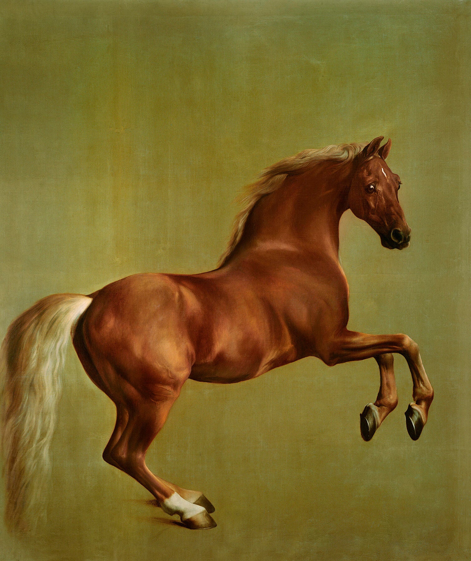 George  Stubbs,  Whistlejacket, c1762 -  by  Bridgeman Editions
