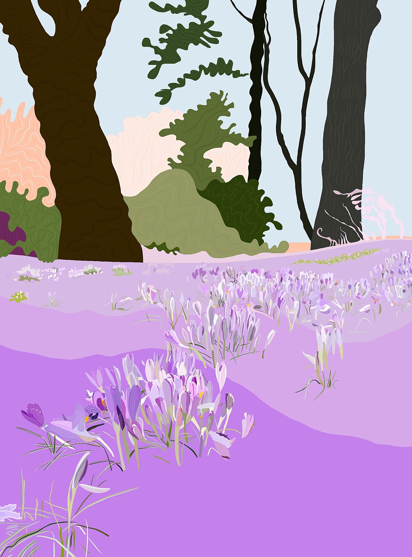 Spring Crocus -  by  Bridgeman Editions