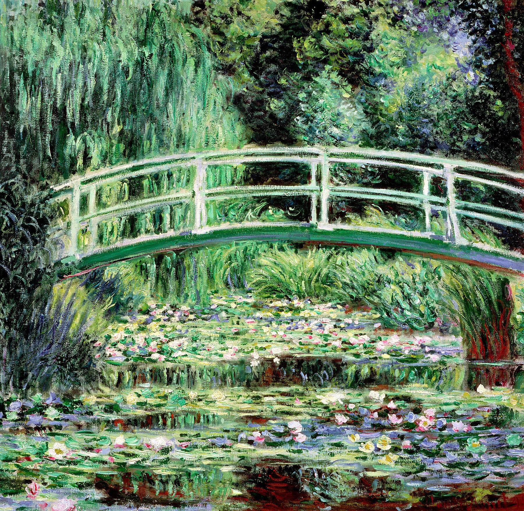 Claude Monet, White Waterlilies, 1899 - BALowned, Claude (1840-1926), Masters, Monet, Painting by  Bridgeman Editions