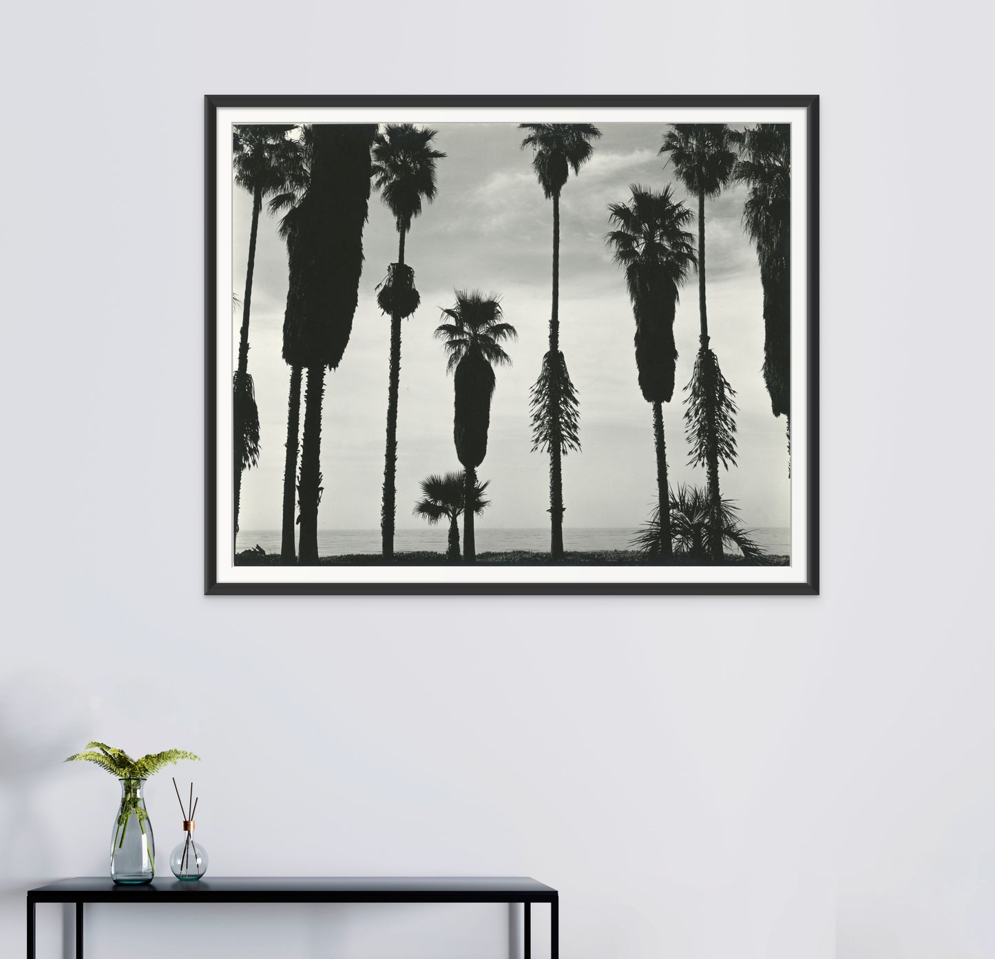 Brett Weston, Palm Trees Santa Barbara, California, 1958