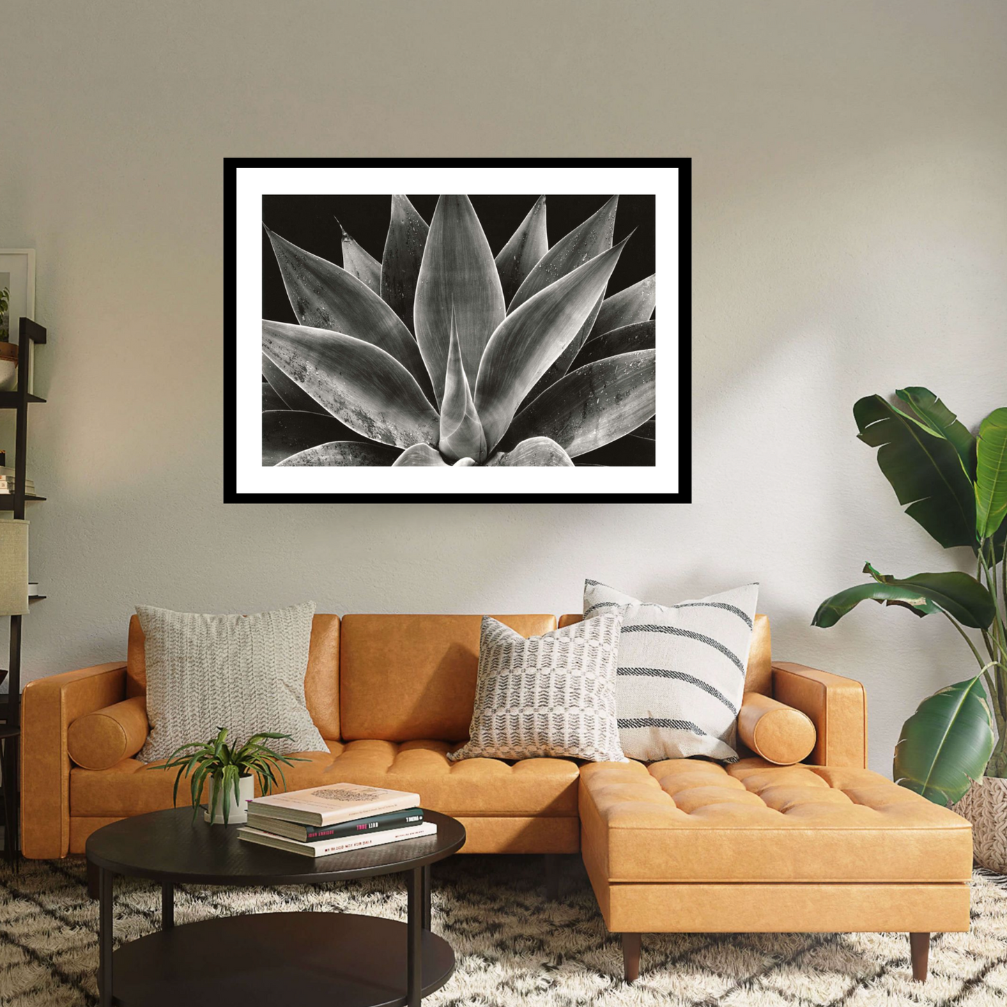 Black framed print 'Century Plant' by Brett Weston: A captivating black & white close-up of the intricate centre of an Agave Americana, showcasing the plant's stunning natural geometry and texture.