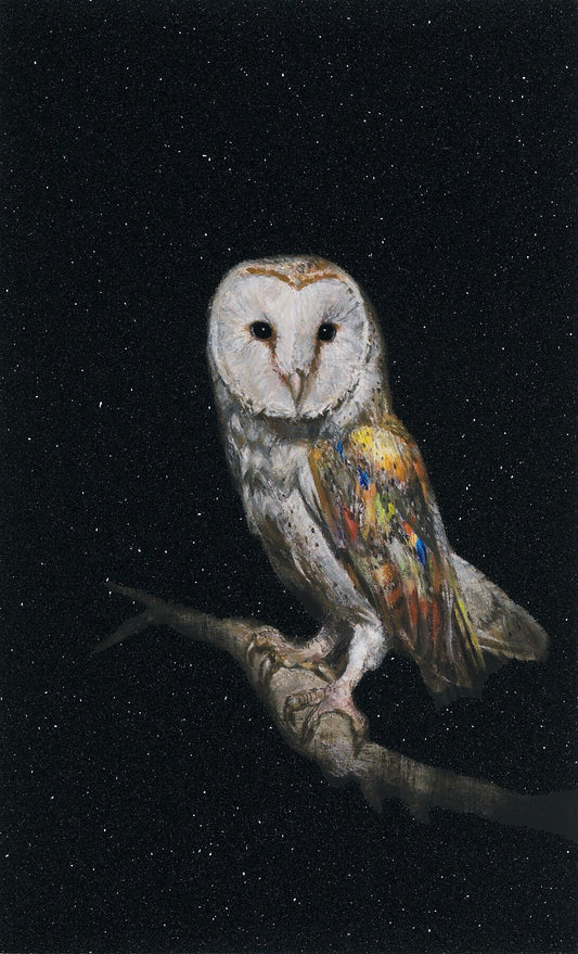 Unframed 'I Saw the Truth - Free as a Bird' by Christian Furr. This captivating print features an owl with a brightly coloured wing, poised against a backdrop of a stunning black starry night sky. 