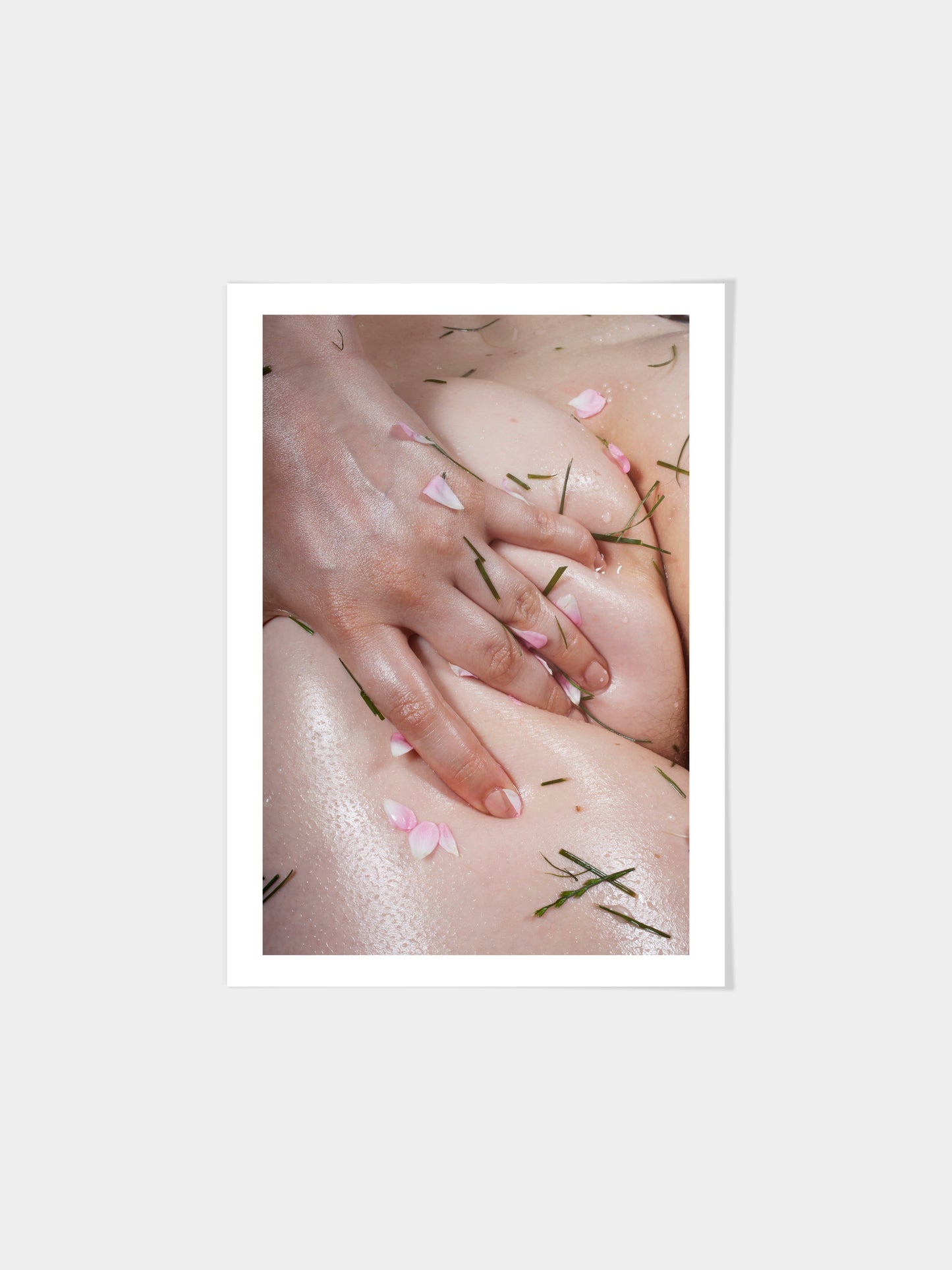 Grass Bum, 2015