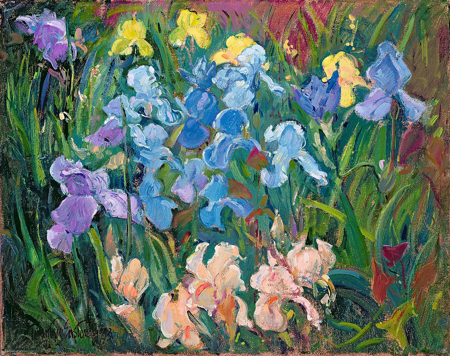 Timothy Easton, Irises Pink Blue and Gold, 1993 -  by  Bridgeman Editions