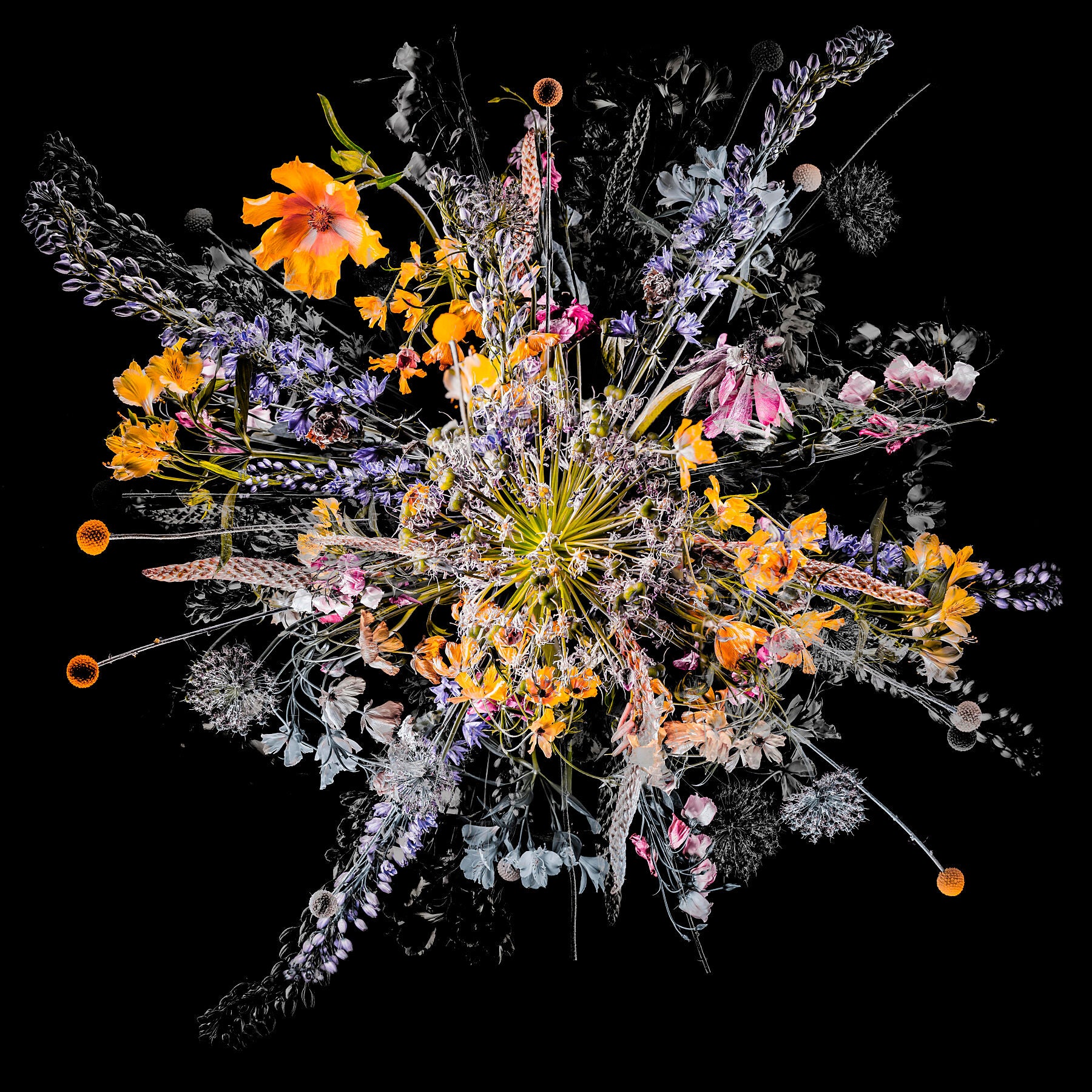 Teis Albers, Bouquet VII, 2018 -  by  Bridgeman Editions
