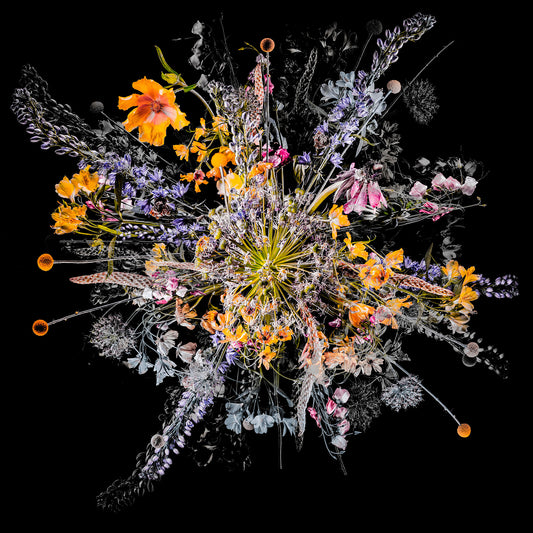 Teis Albers, Bouquet VII, 2018 -  by  Bridgeman Editions